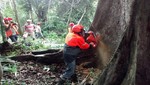 Motosierristas recibieron curso de tala en Pucallpa