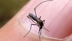 Consejos útiles para prevenir el contagio del Zika en cualquier parte del mundo