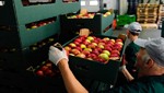 Volumen de importación de alimentos creció 17% entre el 2012 Y 2015