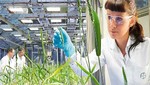 Bayer, una compañía con historia, que construye historias para Una Vida Mejor