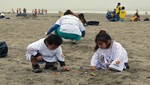 Municipalidad de Ventanilla y voluntarios limpian playas del distrito