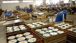Familias peruanas incrementan consumo de conservas de pescado