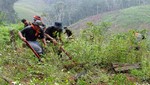 Erradican 22 mil hectáreas de hoja de coca y destruyen 85 laboratorios de droga