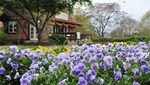 Te invitamos a seguir el aroma de las flores y a viajar en la primavera