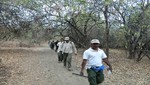Piura: Guardaparques controlan incendio en el Parque Nacional Cerros de Amotape