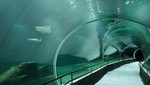 Rio inaugura el acuario marino más grande de Sudamérica