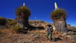 Por qué el Santuario y Reserva Nacional de Calipuy son los nuevos atractivos turísticos en la Libertad