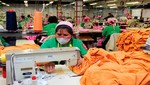 Textil y agropecuario lideraron incremento de empresas exportadoras entre 2011 y 2016
