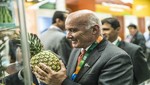 Productores de frutas y hortalizas peruanos logran negocios por más de US$ 200 millones en Alemania