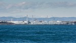 Gobierno japonés esta presionando a la población para que vuelva a zonas contaminadas por Fukushima