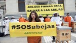 Apicultores y activistas de Greenpeace entregan en el Ministerio de Agricultura 400.000 firmas para salvar las abejas