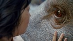 Netflix revela trailer oficial y arte principal de Okja