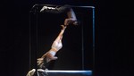 Montaje de circo y danza: La memoria de la piel