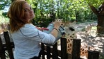 Animal Planet ingresa en el famoso Zoológico del Bronx