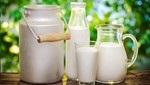 Mitos y verdades sobre el consumo de leche