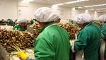 Exportaciones a abril cerraron con un crecimiento de 25.9%