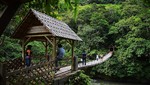 Cruz del sur inaugura nueva ruta a la selva central lima-oxapampa