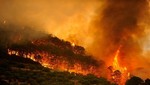 Greenpeace demanda una respuesta coordinada y global ante la nueva generación de incendios forestales