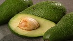 Exportación de palta al alza por mejores precios