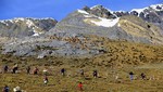 Más de 500 visitantes recibió tradicional Chaccu de Vicuñas de la Reserva Paisajística Nor Yauyos Cochas