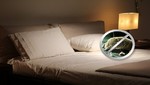 Recomiendan reemplazar las almohadas cada 3 meses para evitar alergias y enfermedades respiratorias