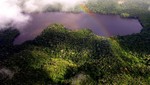 Áreas Naturales Protegidas de San Martín, Loreto y Ucayali mostrarán potencial ecoturístico en Expo Amazónica 2017