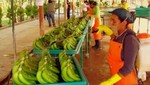 Promperú generará ruedas macroregionales para promover Pymes regionales