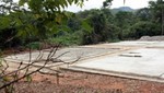 En Venezuela deforestan área protegida para construcción de viviendas