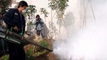 SJL: Cerca de 100 viviendas serán fumigadas para acabar con plaga de mosquitos