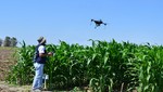 El INICTEL-UNI y el INIA presentaron resultados de proyecto que busca mejorar el rendimiento del maíz amarillo duro