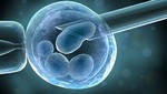 La nueva era de la medicina se abre camino a través del tratamiento de células madre