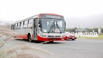 Municipalidad de Lima implementa nuevo servicio Expreso 202 del corredor Javier Prado