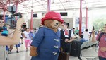 Cruz Del Sur, transporte oficial del Oso Paddigton