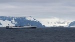 Greenpeace revela 'la lucha por la comida' entre la industria pesquera y los pingüinos y ballenas de la Antártida