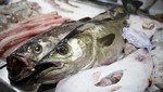 EsSalud advierte que el pescado en mal estado sea frito o hervido causa igual daño a la salud