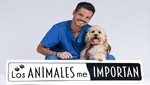 El programa 'Los Animales Me Importan' convoca a su primera caminata 2018 en Mall del Sur