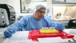 Desarrollarán pruebas de diagnóstico rápido y de bajo costo para dengue, zika y tuberculosis
