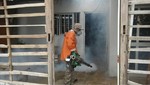 Declaran Emergencia Sanitaria por riesgo de dengue en Tumbes