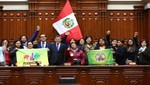 Congreso ratificó convenio 189 sobre trabajo doméstico