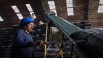 Producción y consumo del café se incrementa en el país