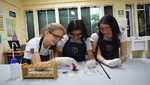 El Sir Alexander Fleming College recibe autorización del Bachillerato Internacional para implementar dos de sus programas