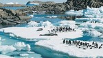 Rayos UV en el Polo Sur