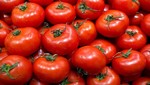 México dice que las tarifas harán que los precios del tomate suban en los Estados Unidos