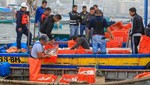 Ministerio de la Producción decomisó 3 toneladas de pota pescada ilegalmente en Lima