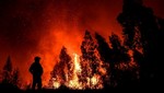 Bomberos combaten incendios forestales masivos en Portugal