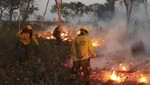 Bolivia y Brasil combaten intensos incendios forestales que hasta ahora han quemado 500,000 hectáreas