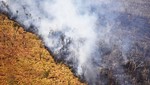 Bolivia: incendios siguen asolando la Chiquitania hace más de un mes