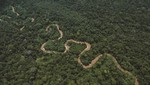 Los ministros de medio ambiente de América Latina y el Caribe se comprometen con una recuperación verde e inclusiva