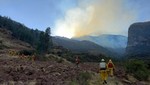 Continúan trabajos para controlar incendio forestal de gran magnitud que se registra en el Cusco