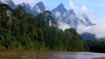 Más de 280 especies de aves y 71 de mamíferos se conservan en el Parque Nacional Cordillera Azul